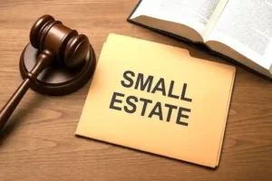 Woman reviewing small estate probate bond information on computer before submitting online application